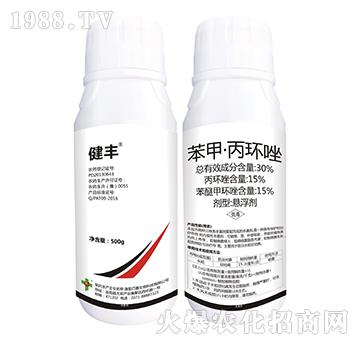 30%���ס��׾���-���S-�����_