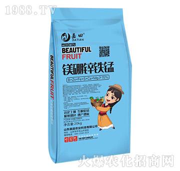 �V���\�F�i-�����r�I(y��)