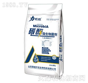 ̼ø΢�������-���w��-��ʢ���r(n��ng)