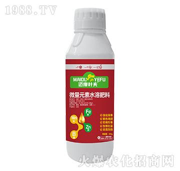 ƿ�b΢��Ԫ��ˮ�ܷ���-�~���~��