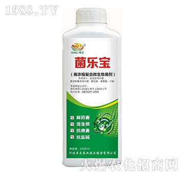 �ߝ�s��(f��)��΢�������-������-�����r(n��ng)�I(y��)