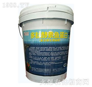 ��(f��)��΢�������-���Ľ����~����-ؐ����