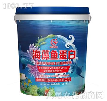 �����~(y��)����-����r(n��ng)�I(y��)