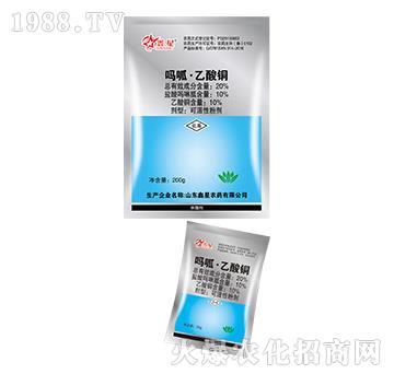 20%���ҡ������~-����