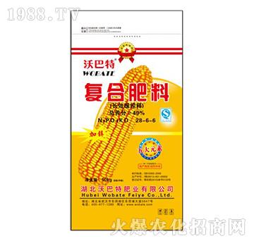 �L(zh��ng)Ч����ጏ�(f��)�Ϸ���28-6-6-�ְ���