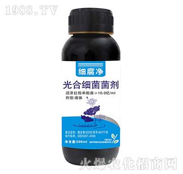 ��ϼ�(x��)������-��(x��)����-����