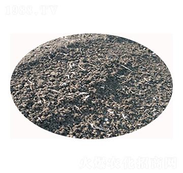 �u�S�ЙC(j��)�ʏS��-���S����