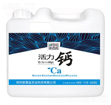 �����}-�r���ϣ��أ�-���S��