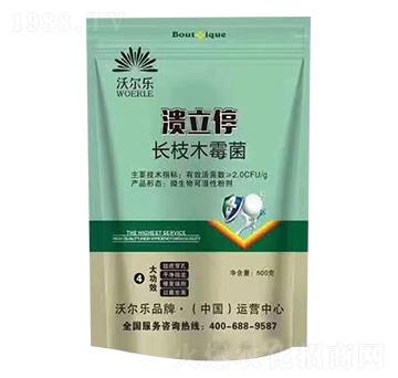 �L֦ľù��-����ͣ-�֠���