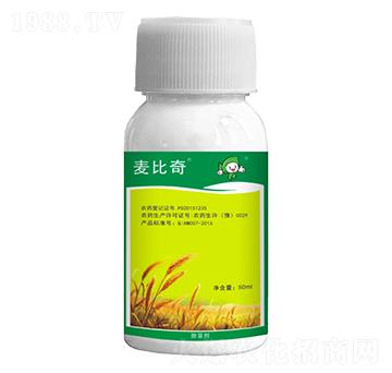 15%Ȳ����-������-�S�՘�(l��)