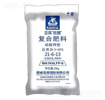 ������͏ͺϷ���21-6-13 ���ۚW�� ���ۇ��H