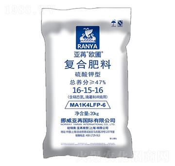 ������͏ͺϷ���16-15-16 ���ۚW�� ���ۇ��H