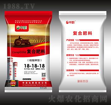 ������͏ͺϷ���18-18-18-�Љ�