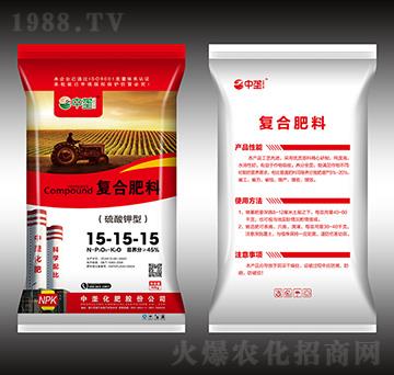 ������͏ͺϷ���15-15-15-�Љ�