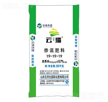 ��ጓ������19-19-19-�Ʋ�-������