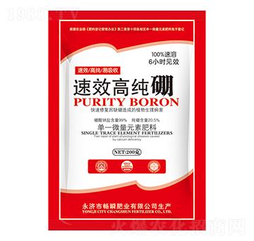 �߼���-��˲