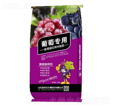 ���ь�������߼t⛛_ʩ��-ʷ����-ʩ����