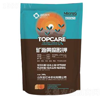 1000g�VԴ�S�����-���|�S