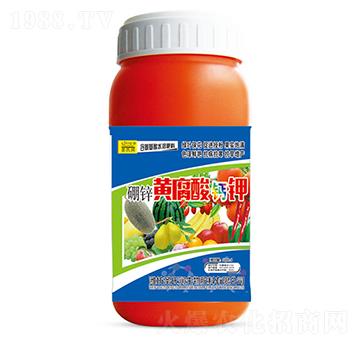 ���\�S�����}�-ʥ�ϝ�(r��n)