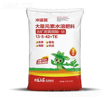 4.2kg����ʹ���Ԫ��ˮ�ܷ���13-4-42+TE-�_����-�к���(r��n)��