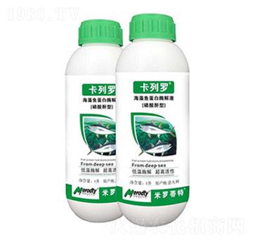 �����~����ø�⾫-�����_-��(y��u)��˼