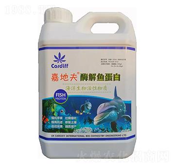 ø���~����-�εط�