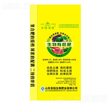 �����ЙC(j��)��-ʥ������-ʥ��