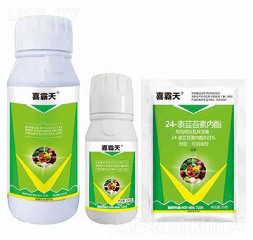 24-���|̦�؃�(n��i)֬-ϲ����-�{��Ʒ��