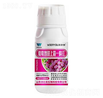 ����������˪һ���t-�֠���(y��u)