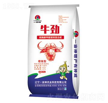 ̼ø���ȩ��ጏ�(f��)�Ϸ���12-60-16-ţ��-һ����