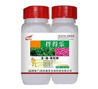 25%�ࡤ����������