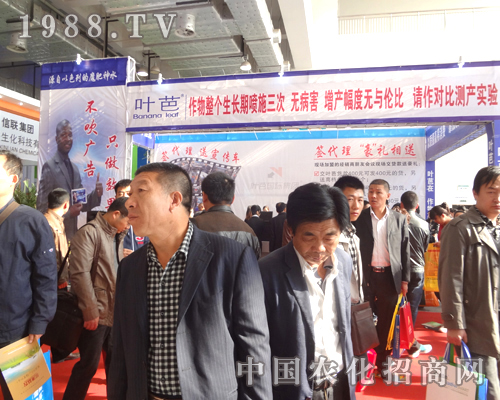 葉芭只做效果，不做吹牛的廣告