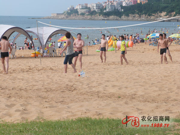 һ����ɳ������