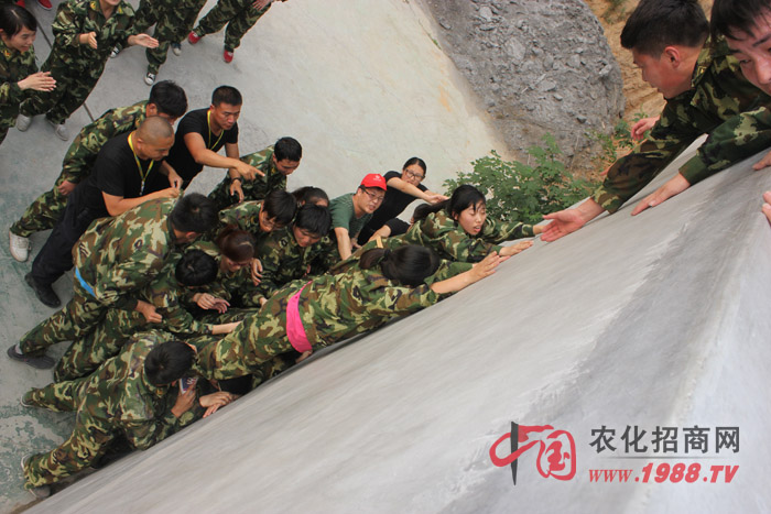 �����y������(zh��n)��ǰ����Ҷ������ľ���������w�F(xi��n)������(zh��n)���ң��۟��F꠵ľ�����