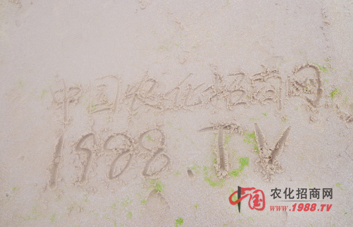 ��������ϧ