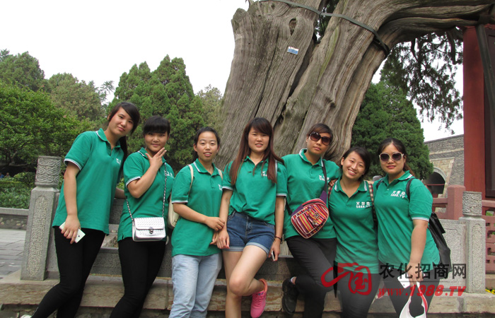 ���̩ɽ����һ�ӵĸ���