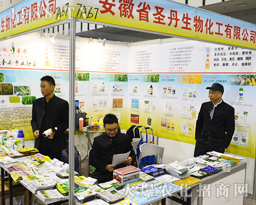 ����ʡʥ�����ﻯ�����޹�˾��2016���Ͼ�ֲ���������B�B