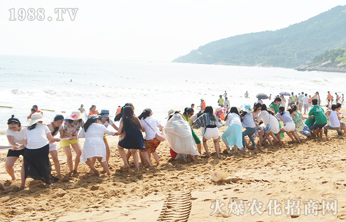 �泯�󺣣����w��