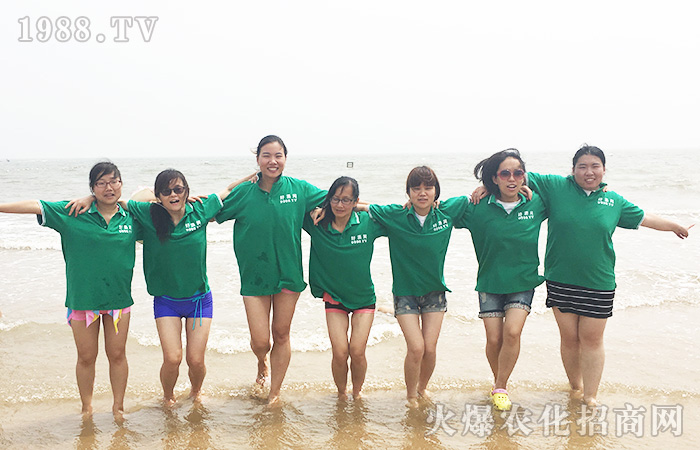 �����@��(g��)���죺�(y��ng)��ɳ���Ȼ�����{(l��n)��