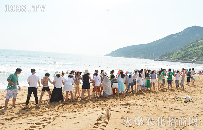 ���ܴ������w����