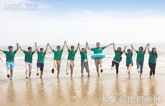 ���M(j��n)�B�Ƹۣ������������w����