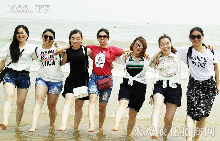 ������ӣ��҂����Țg��(l��)֮��