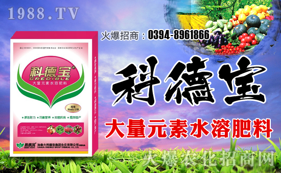 ���ô�Ƶ����F(tu��n)�������޹�˾