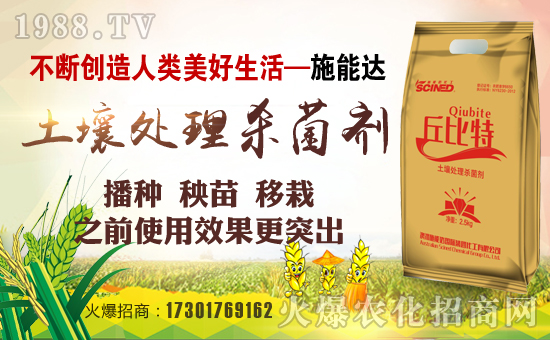 澳洲施能達(dá)化工集團(tuán)有限公司1