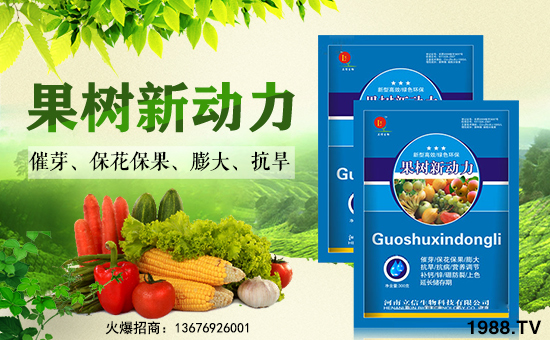 ������������Ƽ����޹�˾