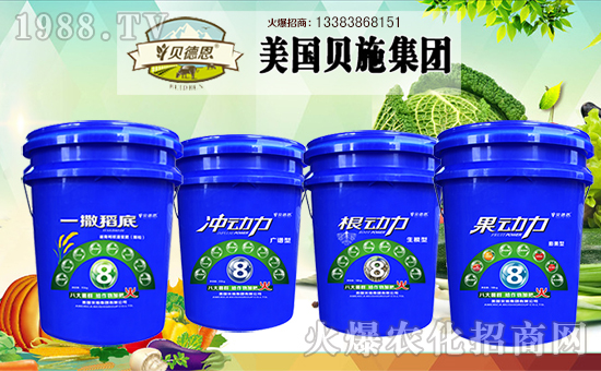 美國貝施集團(tuán)有限公司2