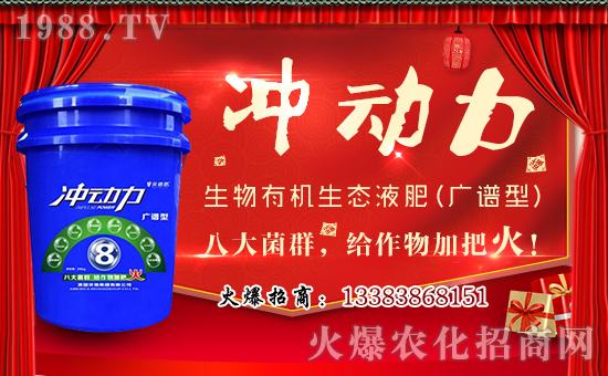 美國貝施集團(tuán)有限公司1