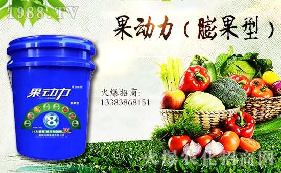 美國貝施集團(tuán)有限公司