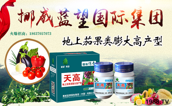 挪威藍(lán)望國際集團(tuán)(中國)有限公司