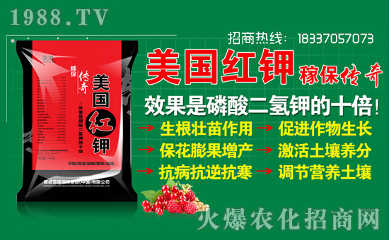 挪威藍(lán)望國際集團(tuán)(中國)有限公司